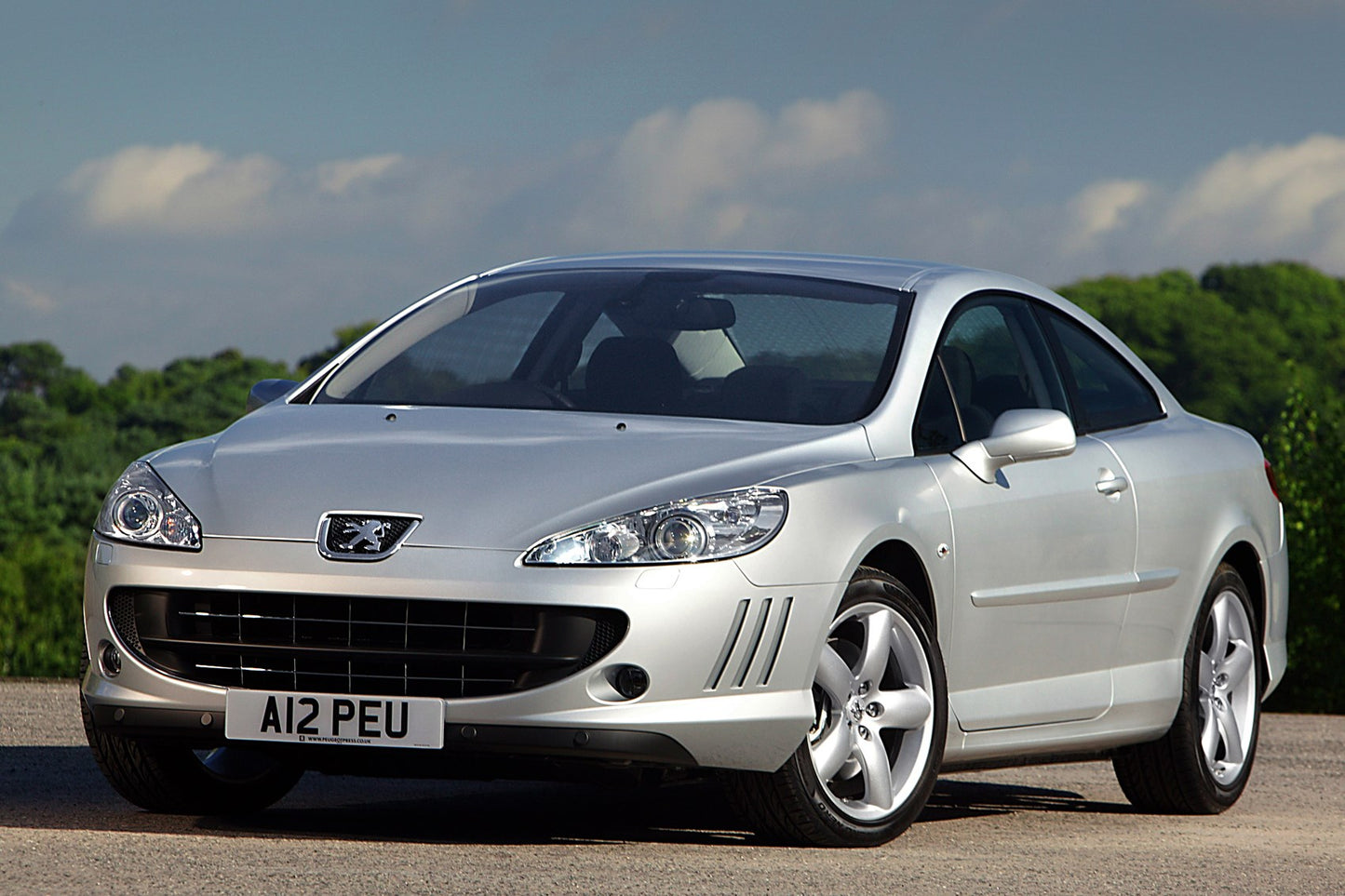 Peugeot 407 Coupe (2006 - 2010) PPF Kit