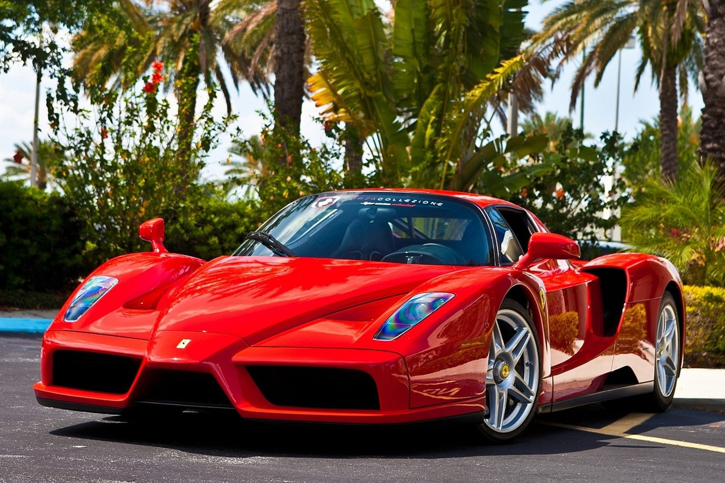 Ferrari Enzo (2002 - 2004) Front End PPF Kit