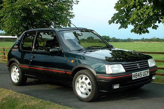 Peugeot 205 Hatchback (1983 - 1997) PPF Kit